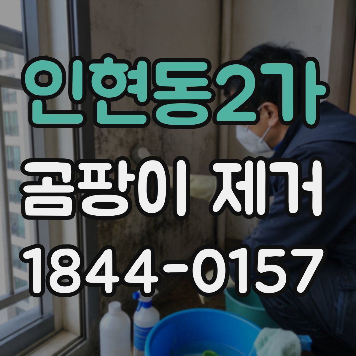 인현동2가 곰팡이 제거
