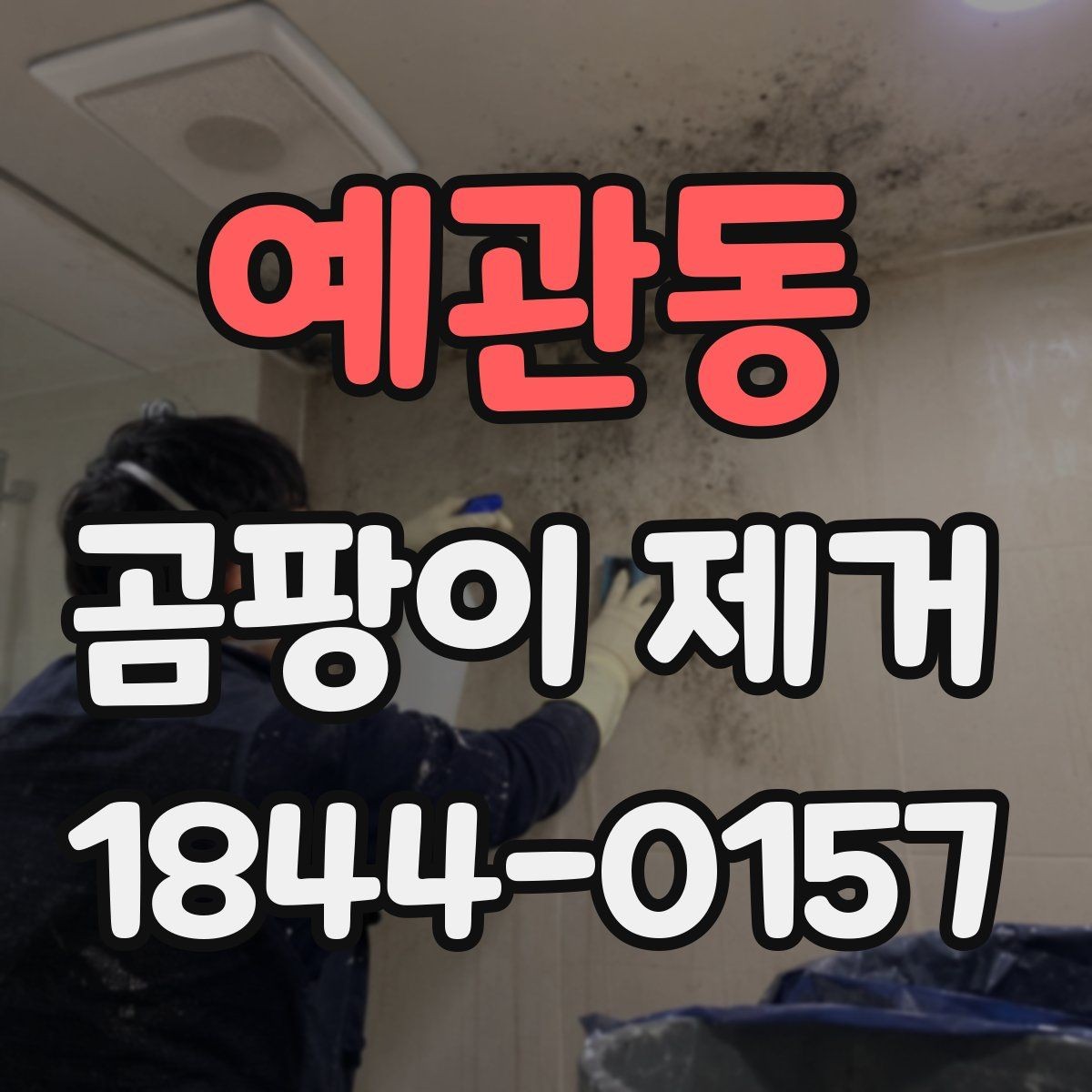 예관동 곰팡이 제거 실내 공기 순환까지 고려한 처리법