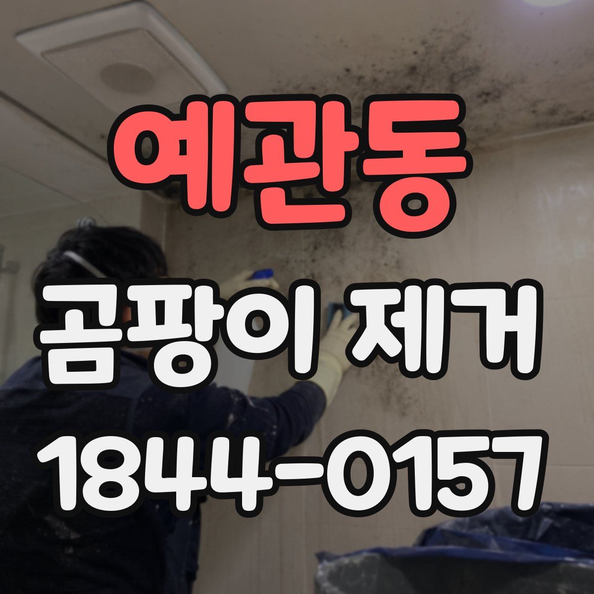 예관동 곰팡이 제거