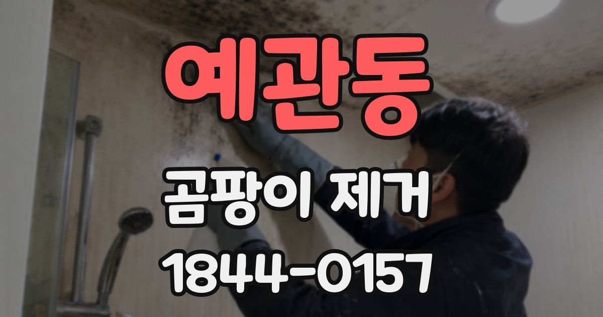 예관동 곰팡이 제거
