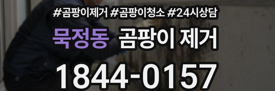 묵정동 곰팡이 제거
