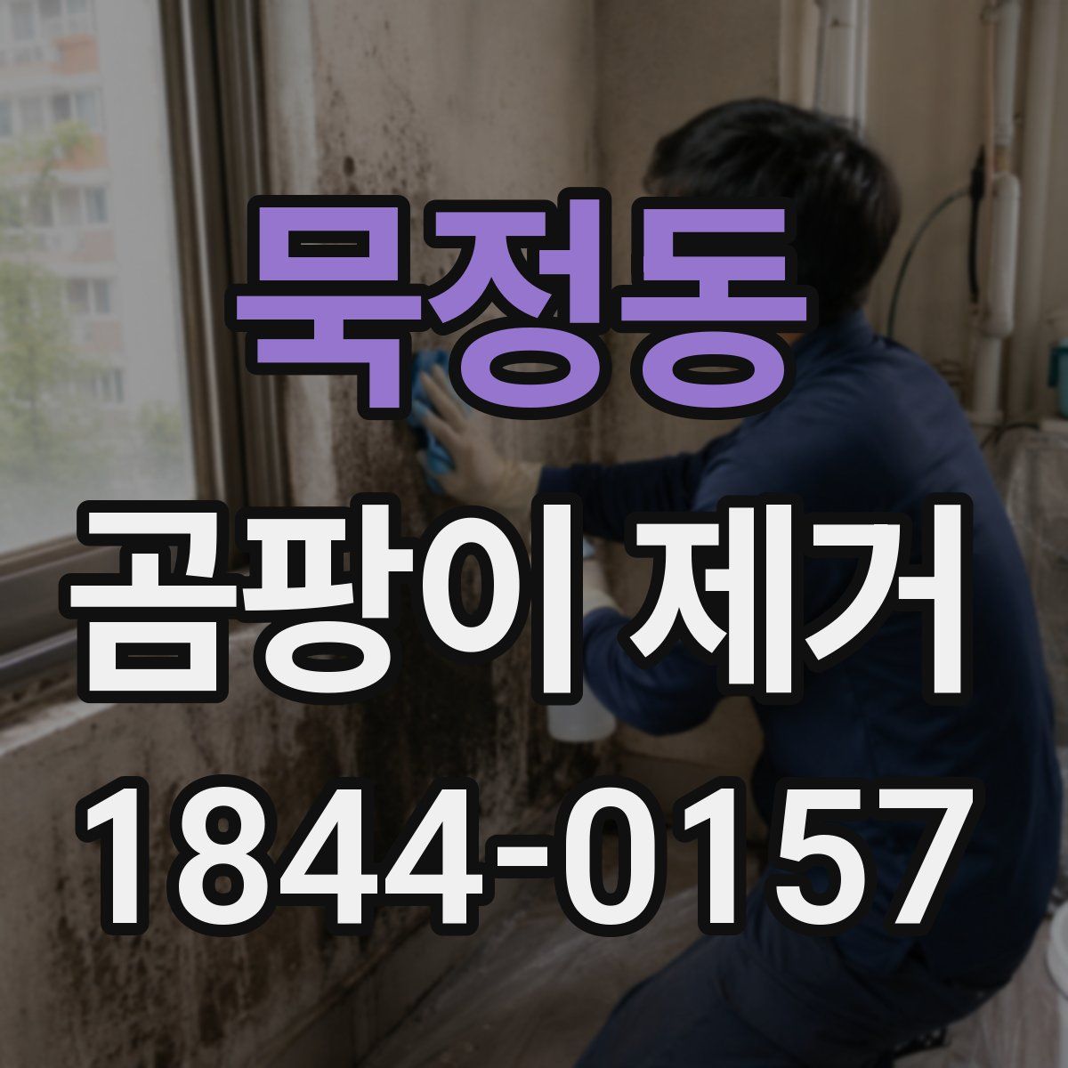 묵정동 곰팡이 제거