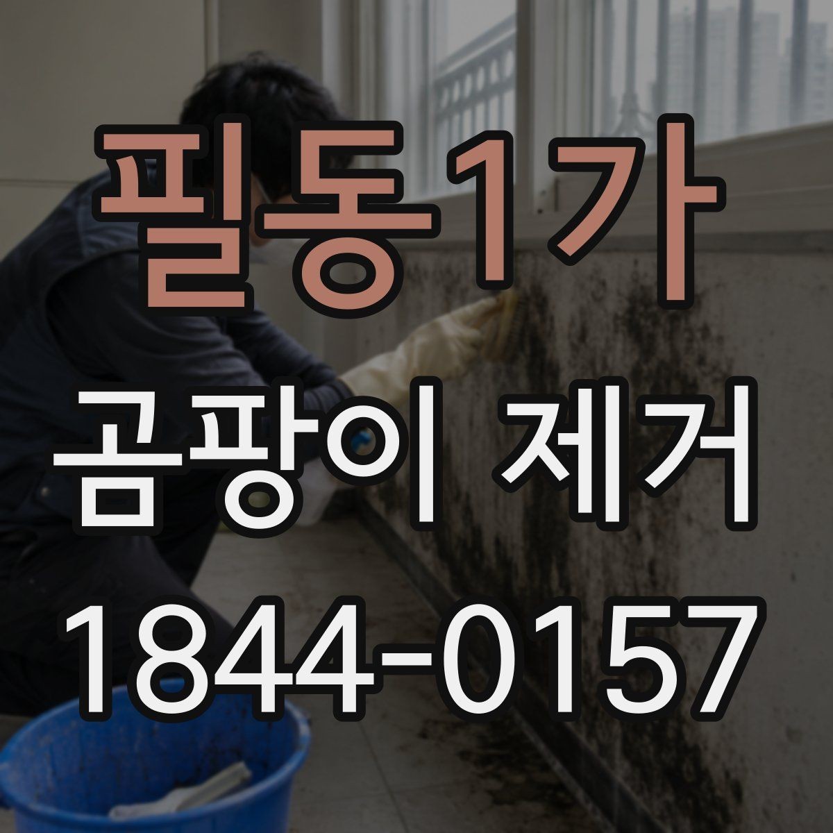 필동1가 곰팡이 제거 냄새가 다시 올라올 때 볼 부분