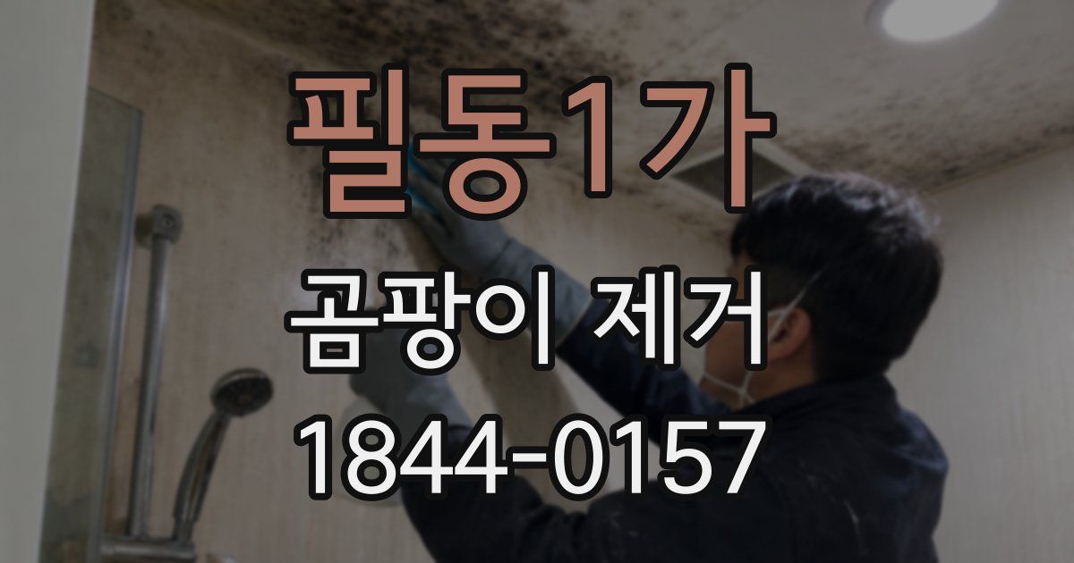 필동1가 곰팡이 제거