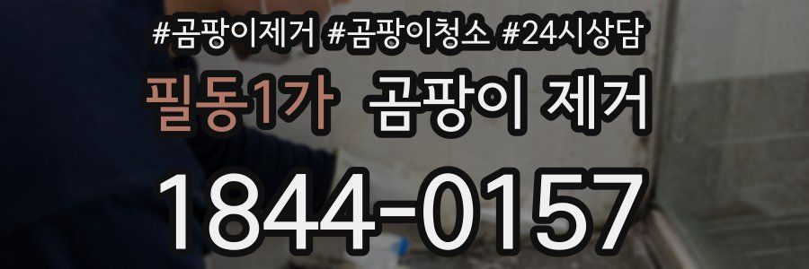 필동1가 곰팡이 제거