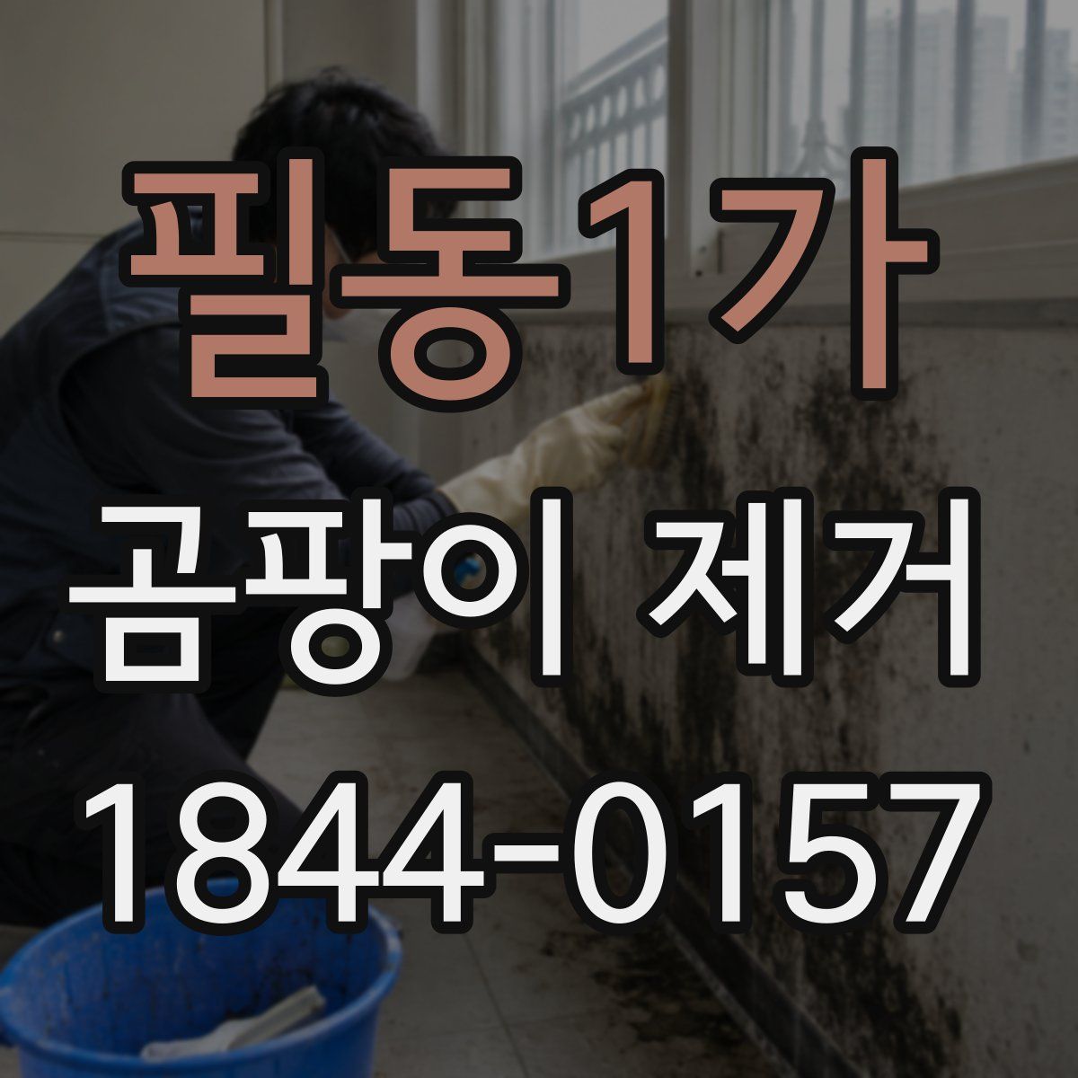 필동1가 곰팡이 제거