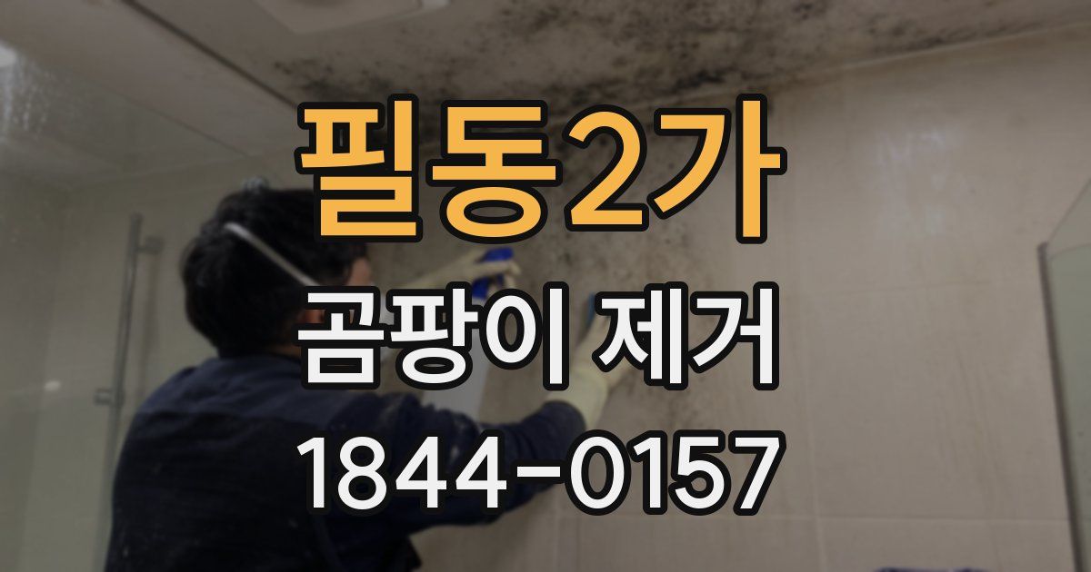 필동2가 곰팡이 제거