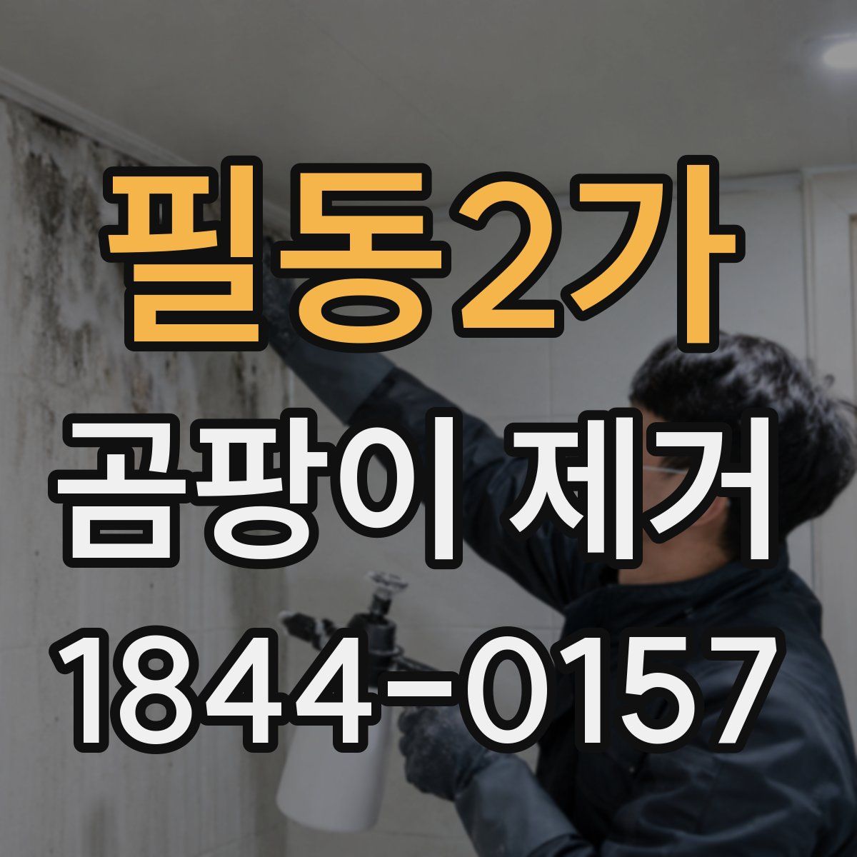 필동2가 곰팡이 제거