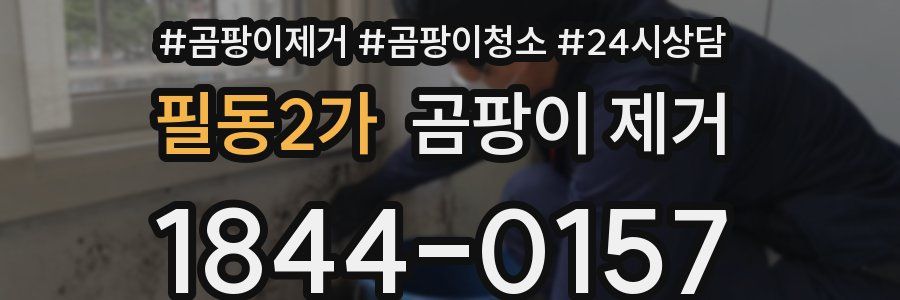 필동2가 곰팡이 제거