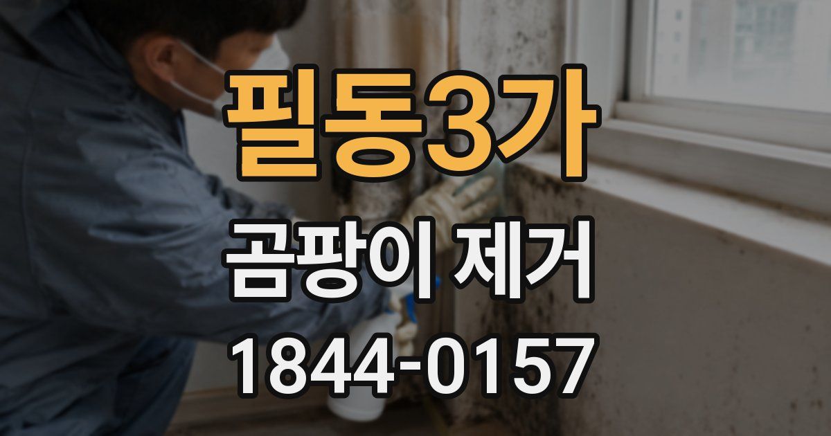 필동3가 곰팡이 제거