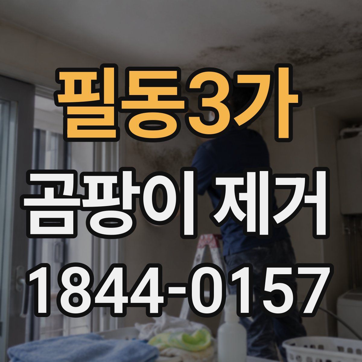 필동3가 곰팡이 제거