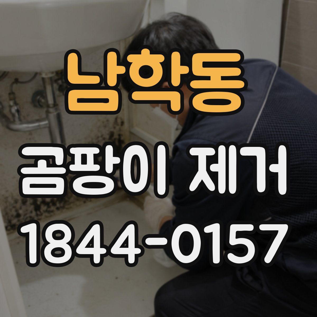 남학동 곰팡이 제거