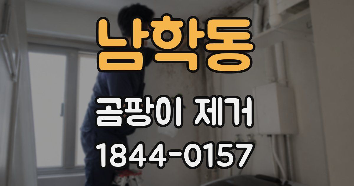 남학동 곰팡이 제거