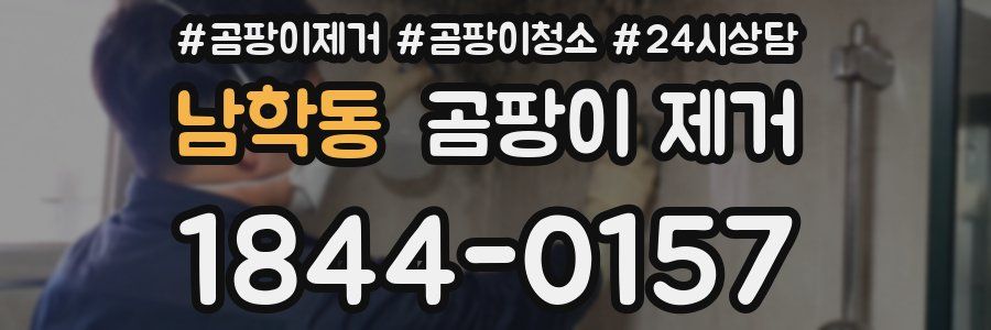 남학동 곰팡이 제거