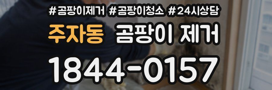 주자동 곰팡이 제거