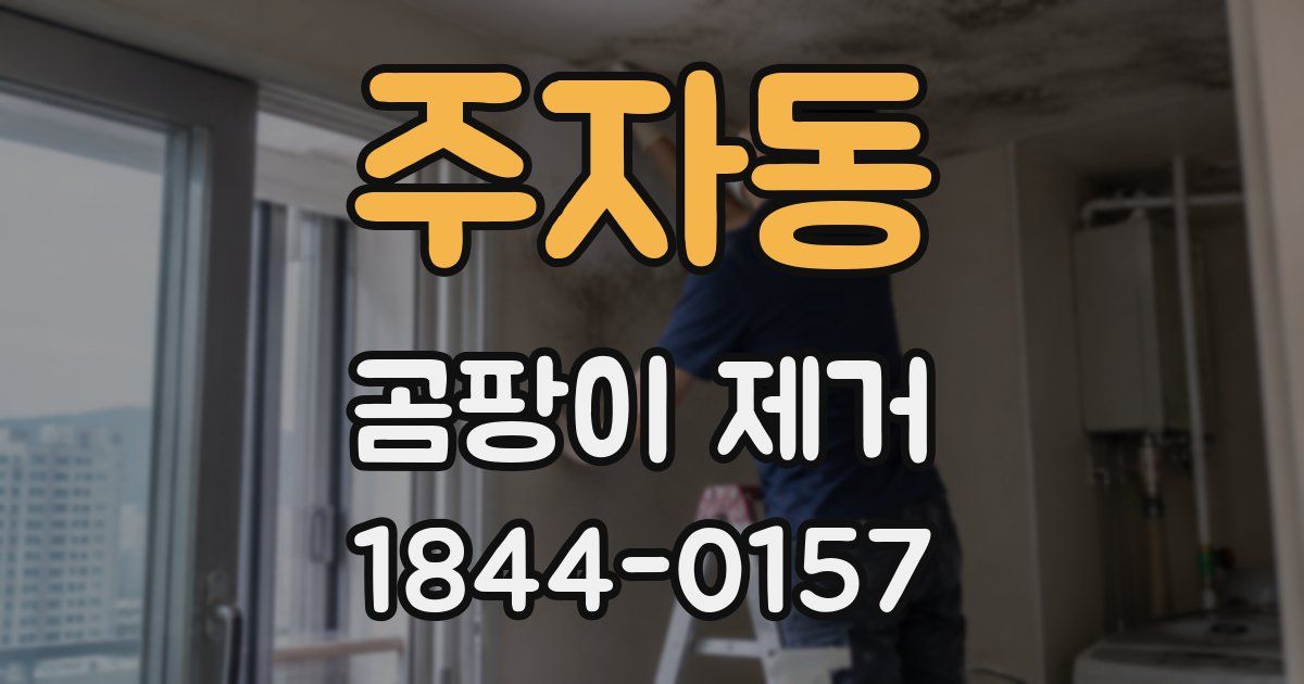 주자동 곰팡이 제거