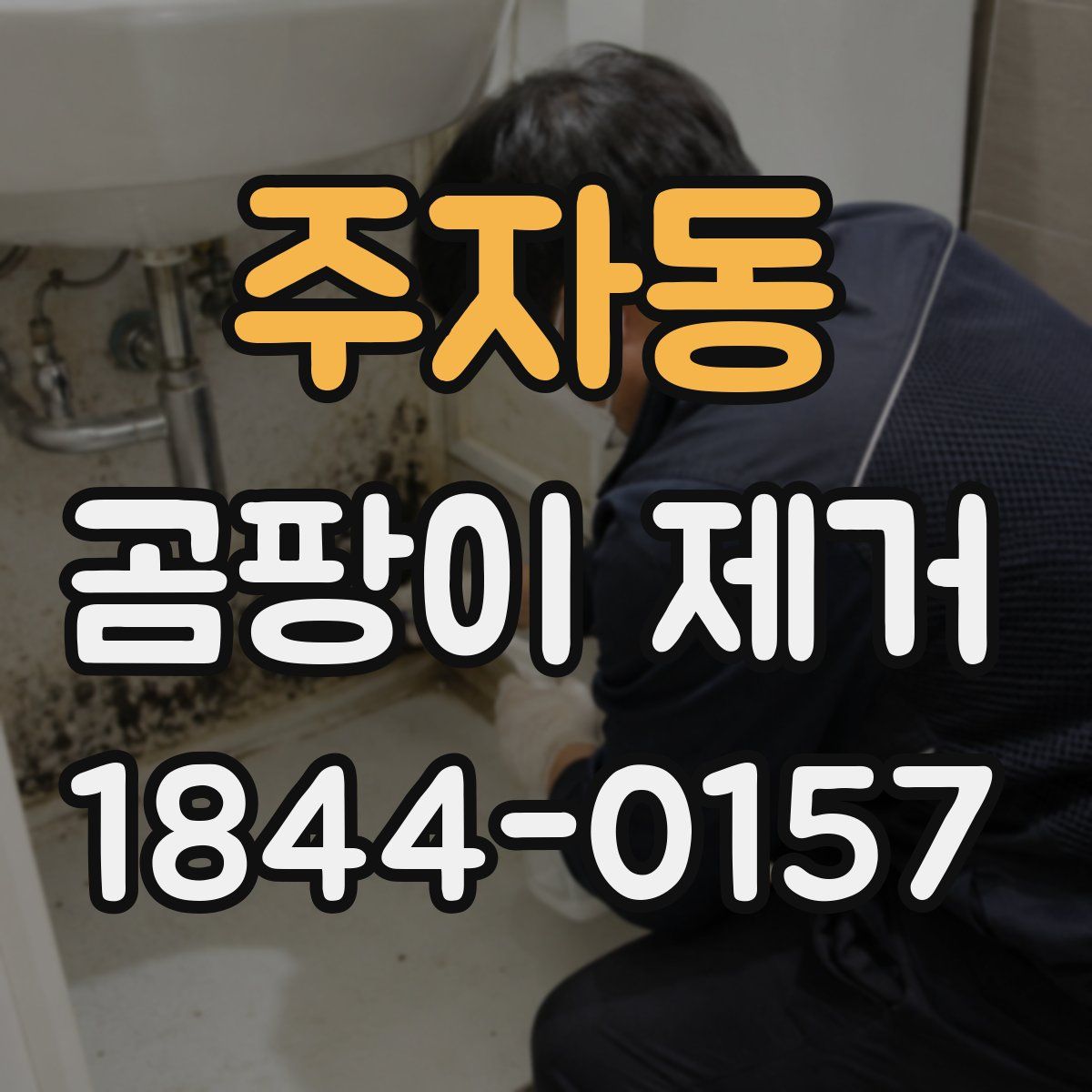 주자동 곰팡이 제거