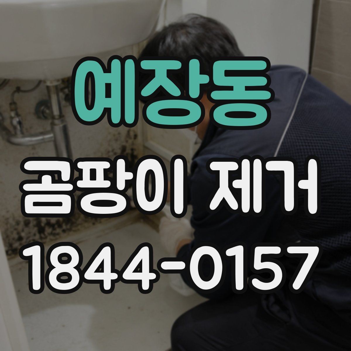 예장동 곰팡이 제거 결로·습기 많은 집에서 먼저 볼 것