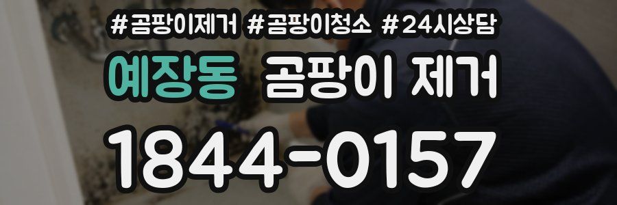 예장동 곰팡이 제거