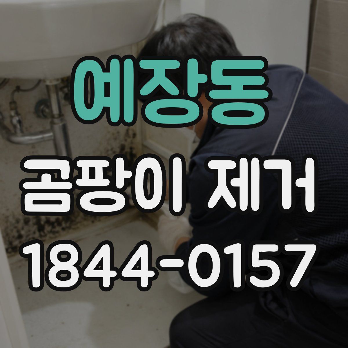 예장동 곰팡이 제거