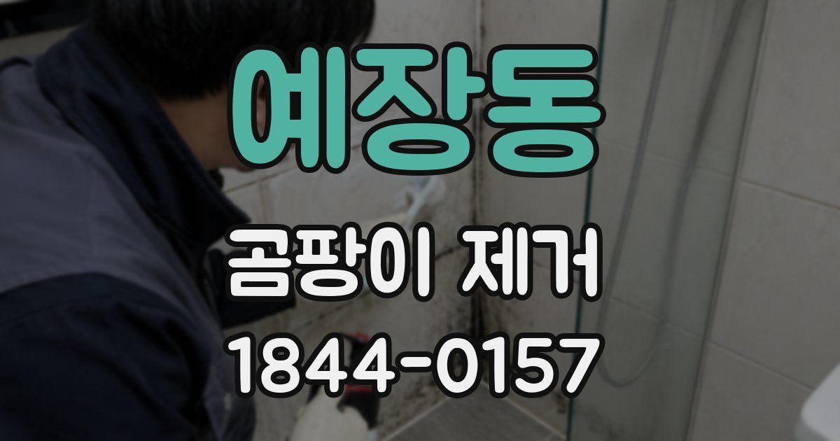 예장동 곰팡이 제거