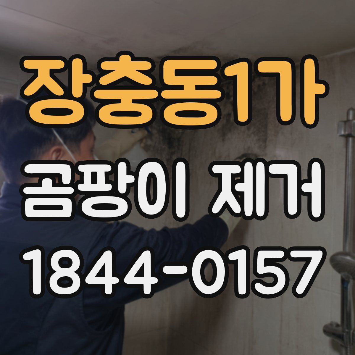 장충동1가 곰팡이 제거