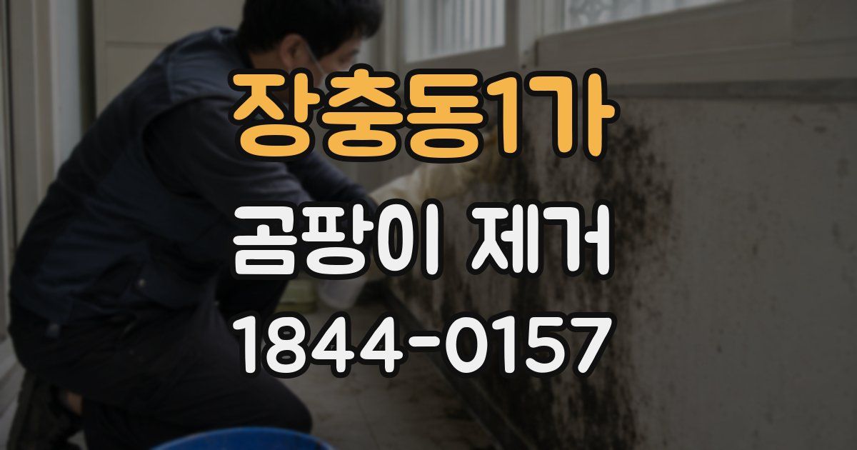 장충동1가 곰팡이 제거