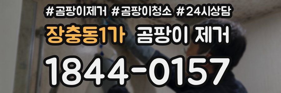 장충동1가 곰팡이 제거