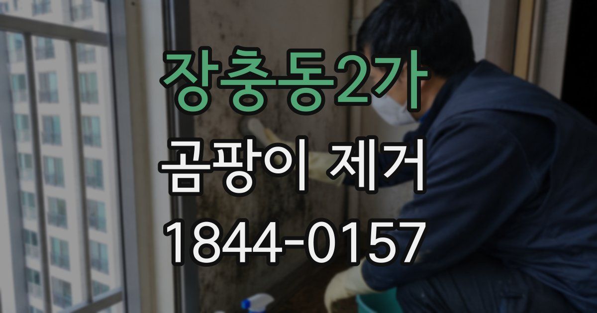 장충동2가 곰팡이 제거