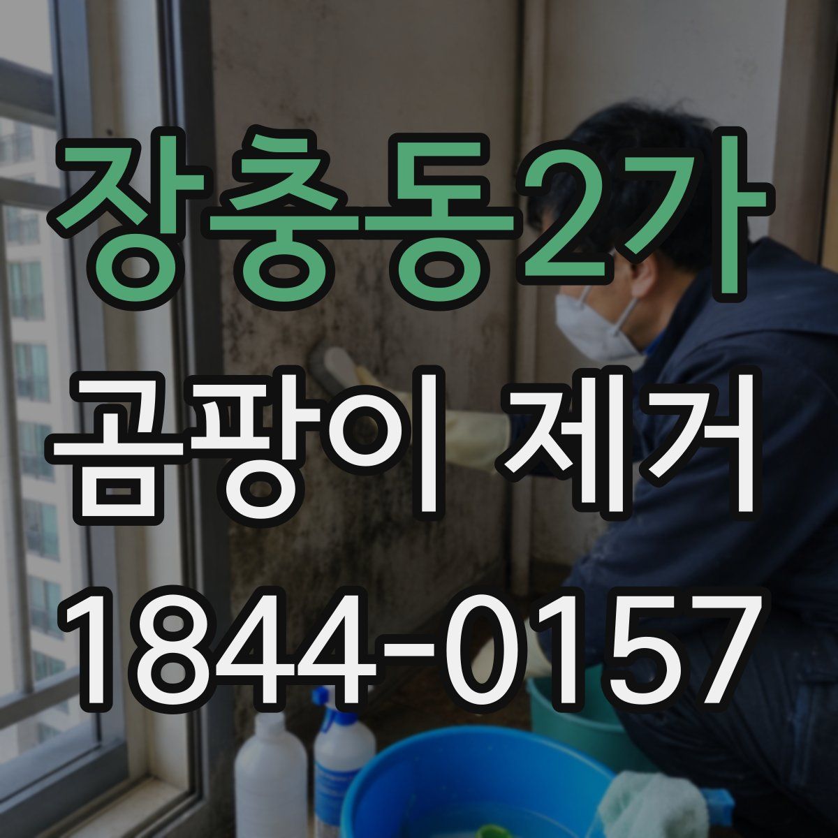 장충동2가 곰팡이 제거