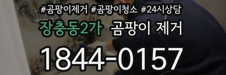 장충동2가 곰팡이 제거