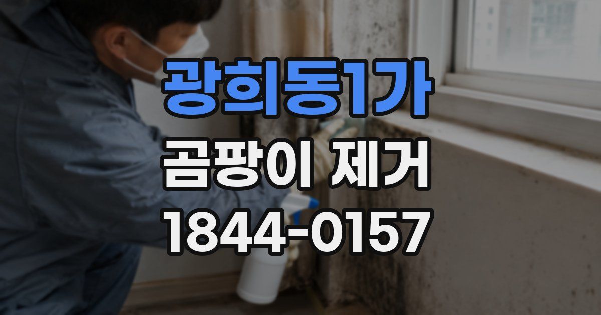 광희동1가 곰팡이 제거