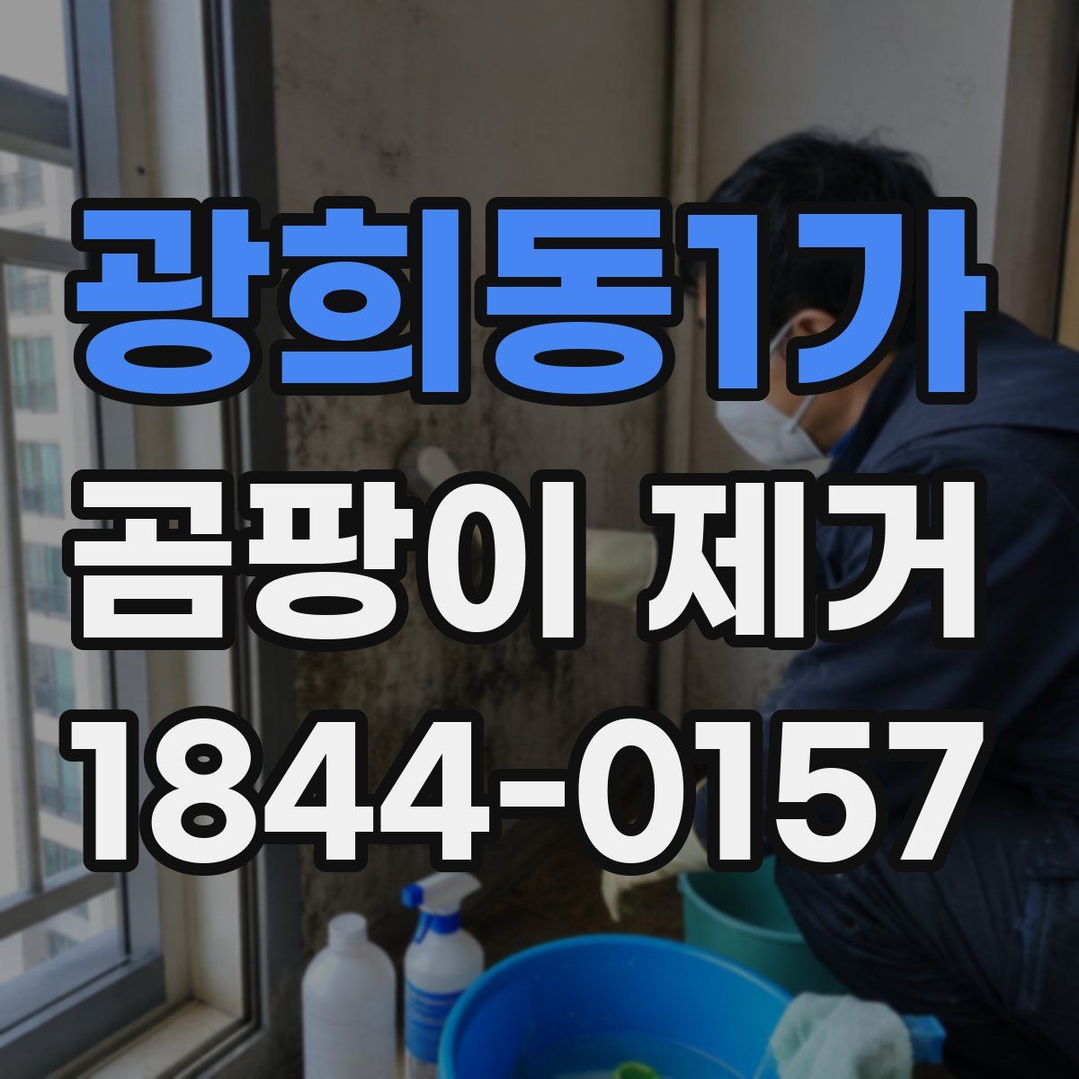 광희동1가 곰팡이 제거