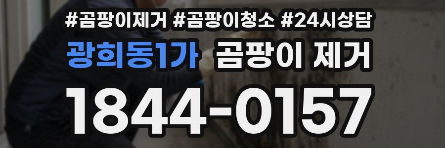 광희동1가 곰팡이 제거