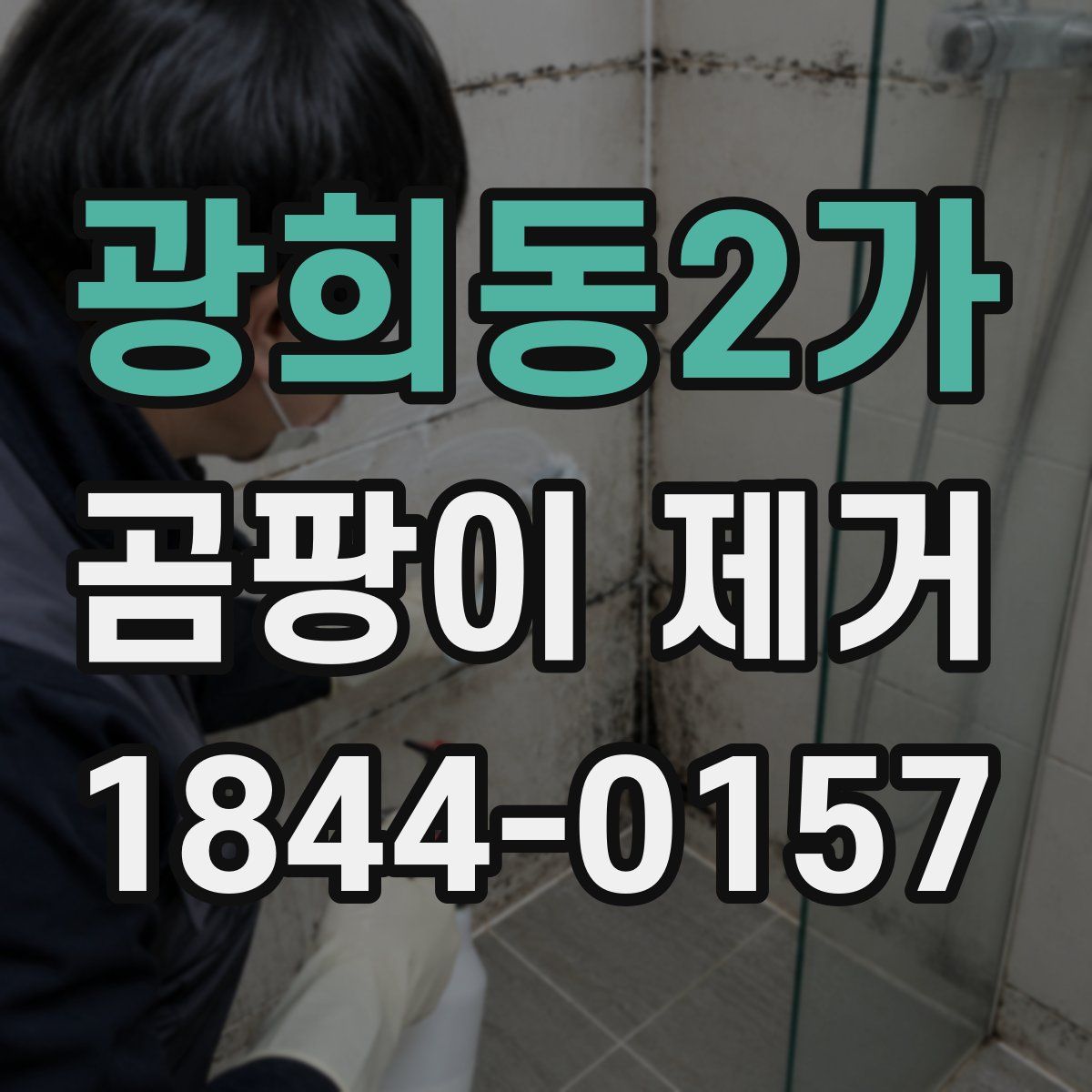 광희동2가 곰팡이 제거