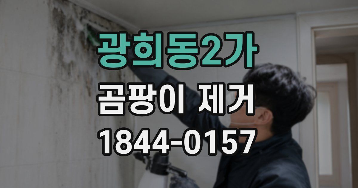 광희동2가 곰팡이 제거