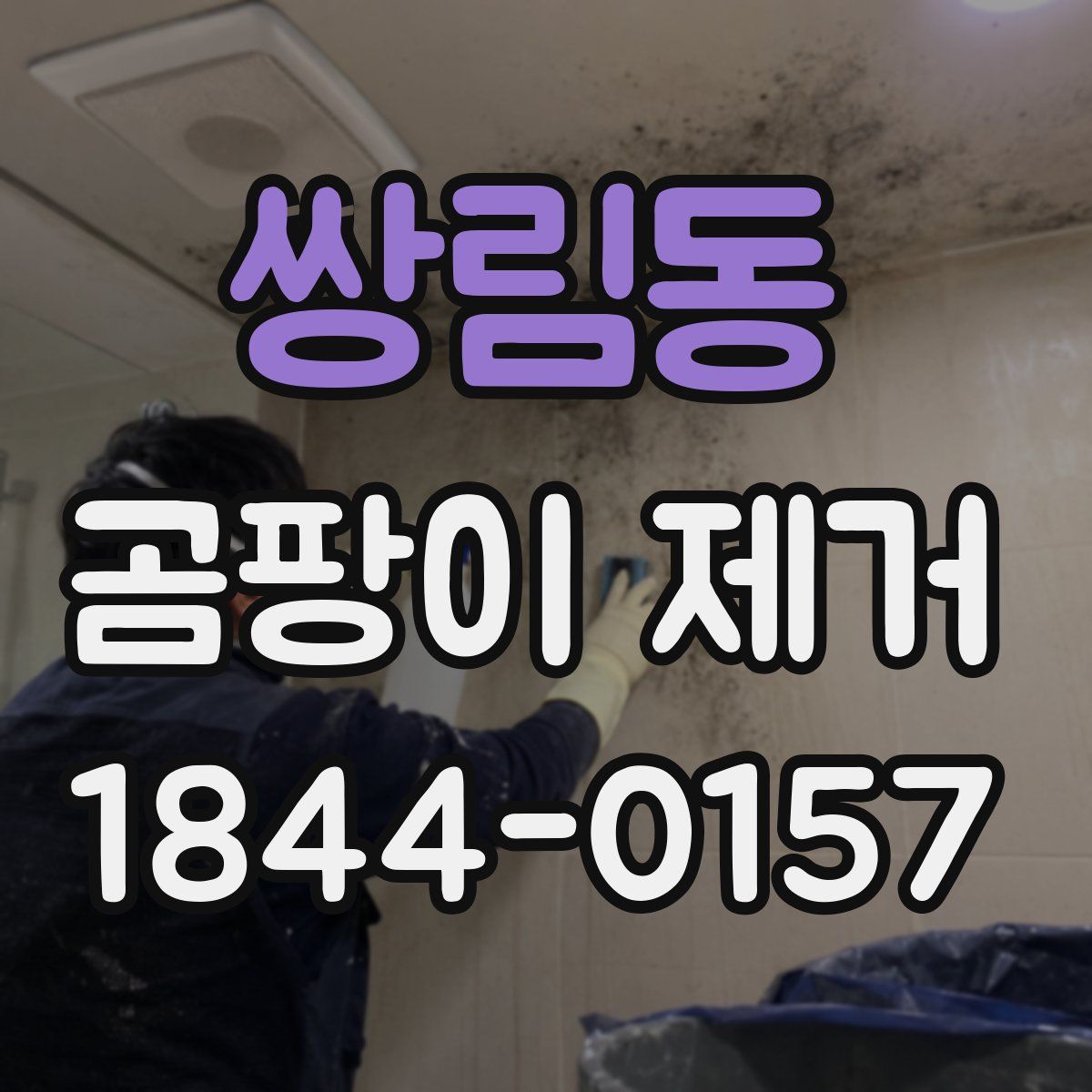 쌍림동 곰팡이 제거