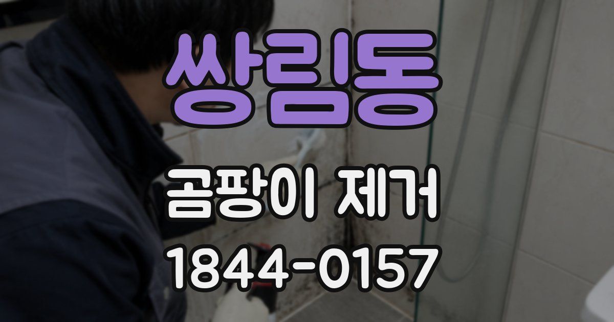 쌍림동 곰팡이 제거