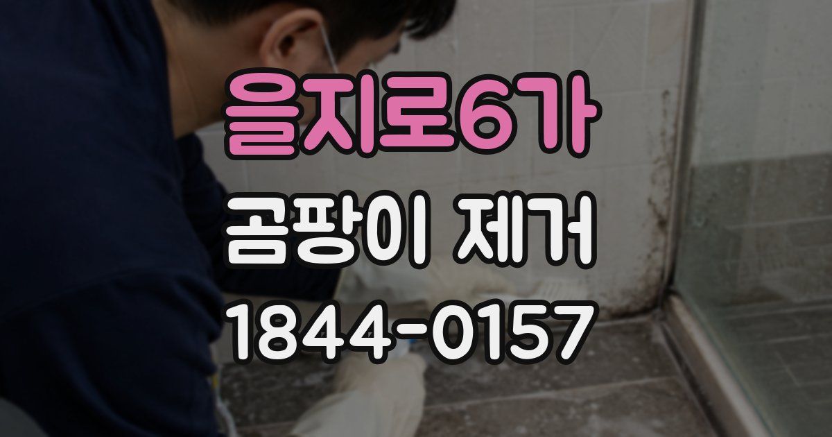 을지로6가 곰팡이 제거