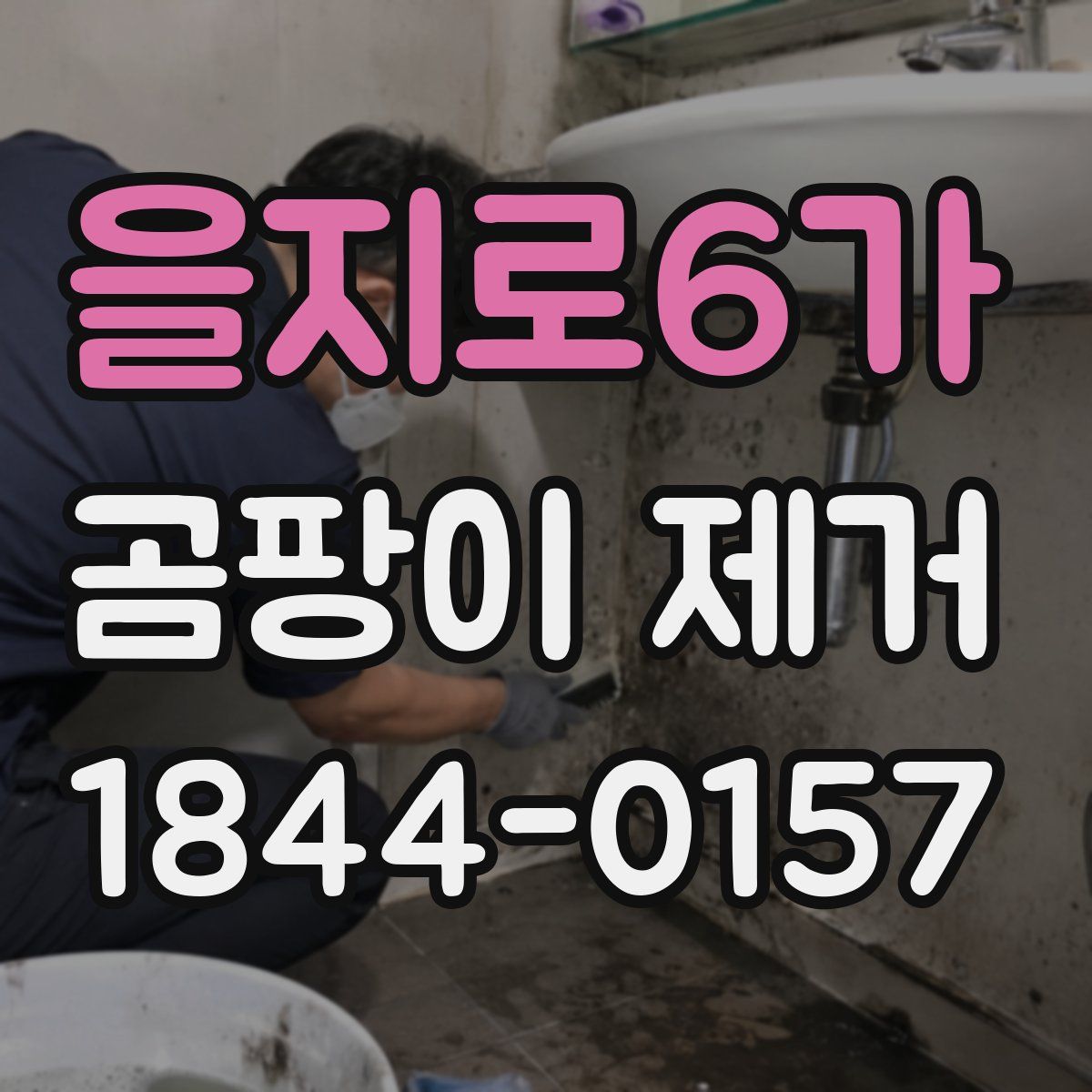 을지로6가 곰팡이 제거