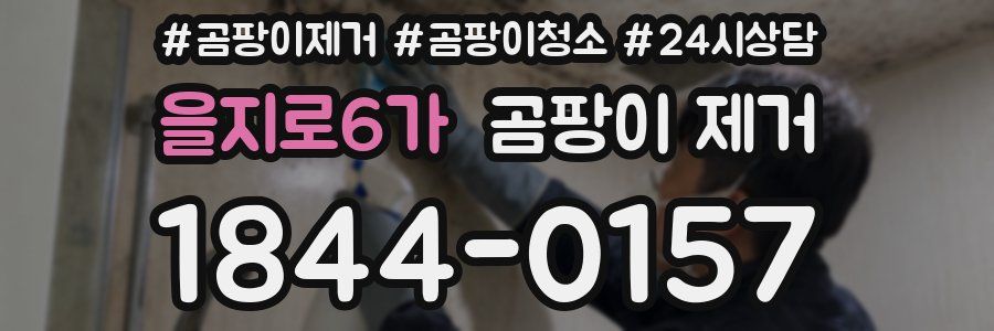 을지로6가 곰팡이 제거
