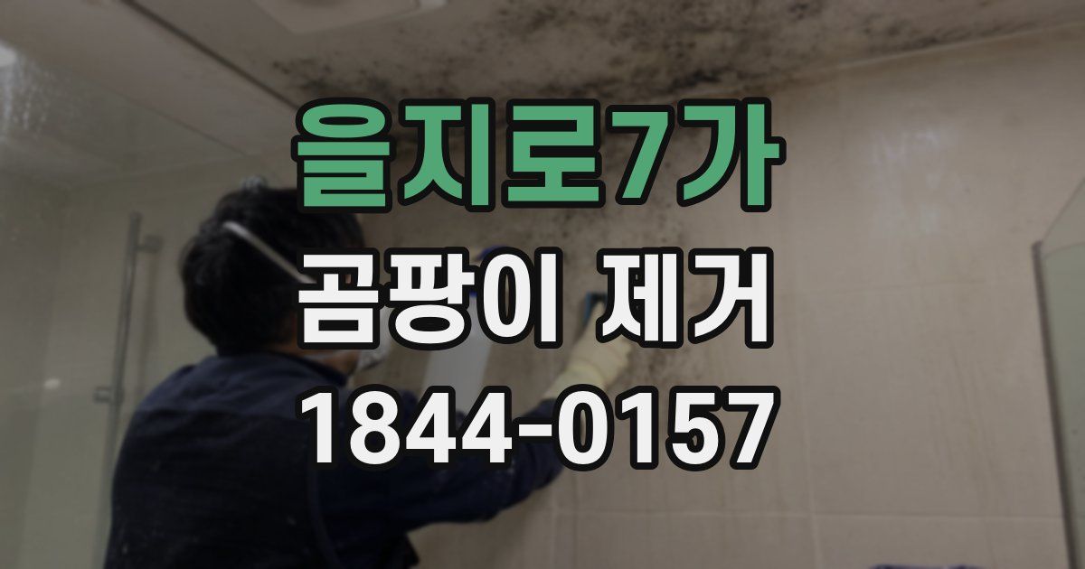 을지로7가 곰팡이 제거