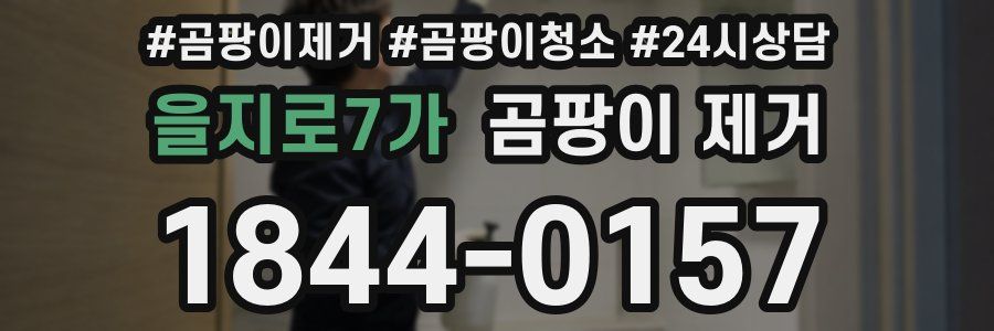 을지로7가 곰팡이 제거