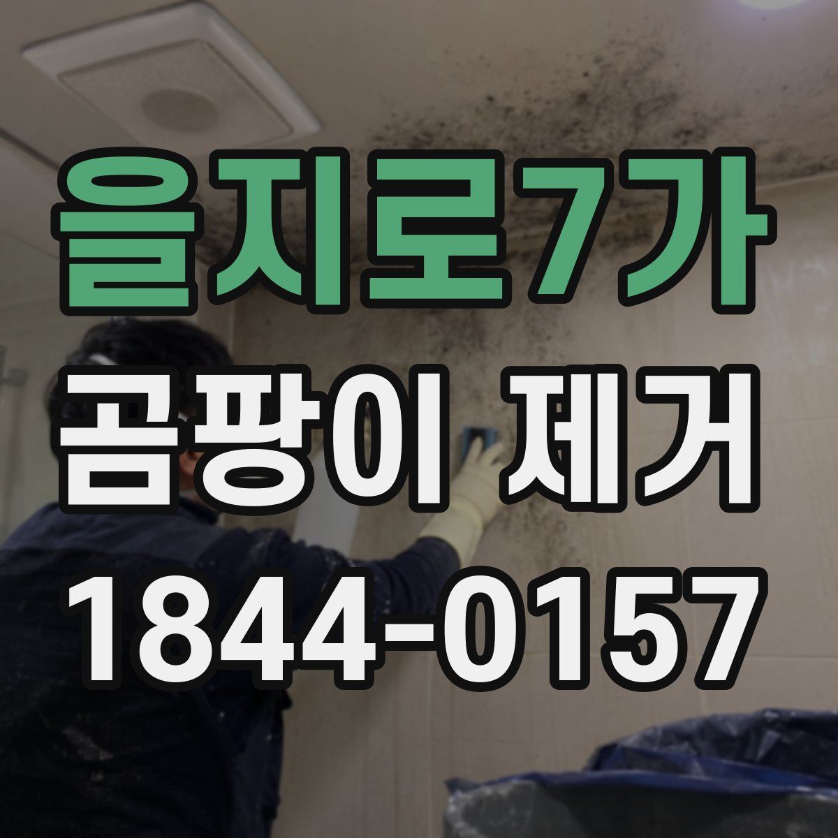 을지로7가 곰팡이 제거