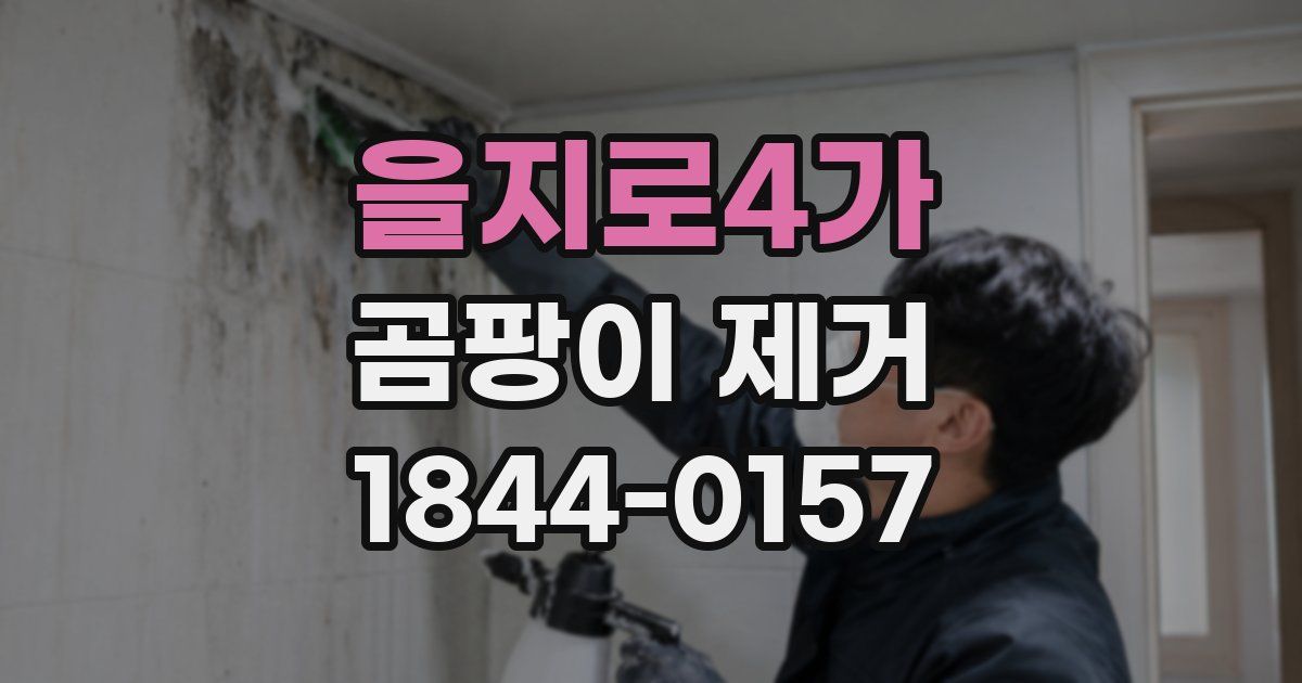 을지로4가 곰팡이 제거