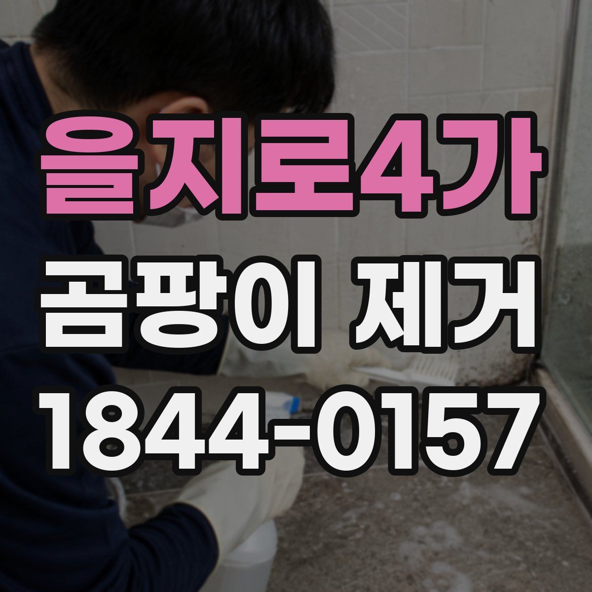 을지로4가 곰팡이 제거