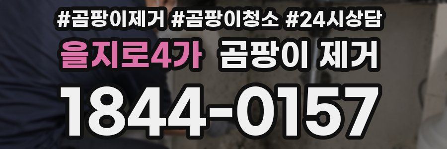 을지로4가 곰팡이 제거