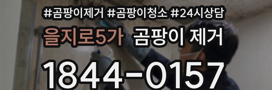 을지로5가 곰팡이 제거