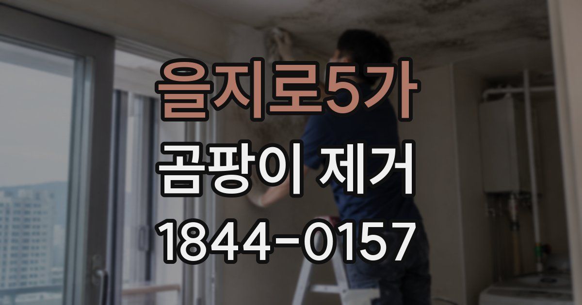 을지로5가 곰팡이 제거