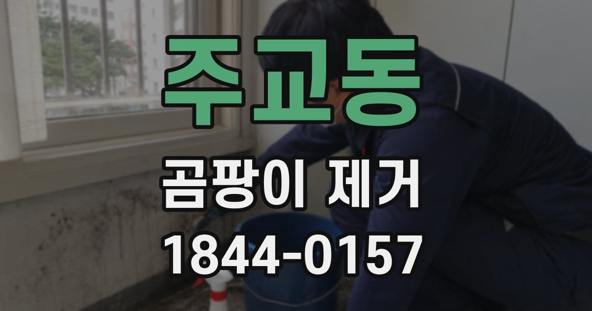 주교동 곰팡이 제거